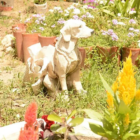 Hermess Oren (Milas)