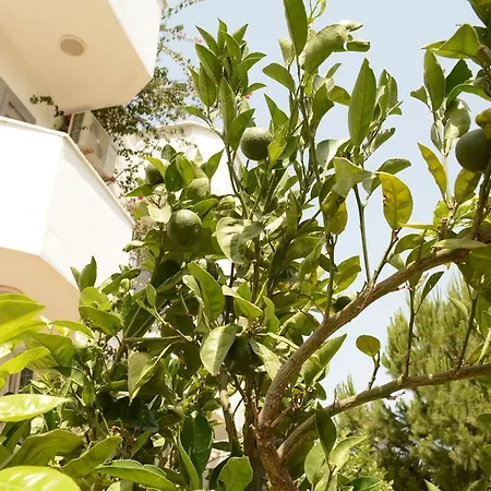 酒店 Hermess Oren (Milas)