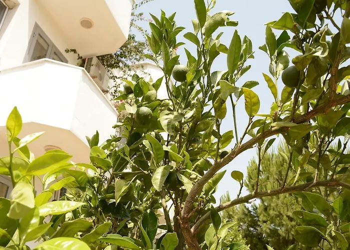 Hotel Hermess Oren (Milas)